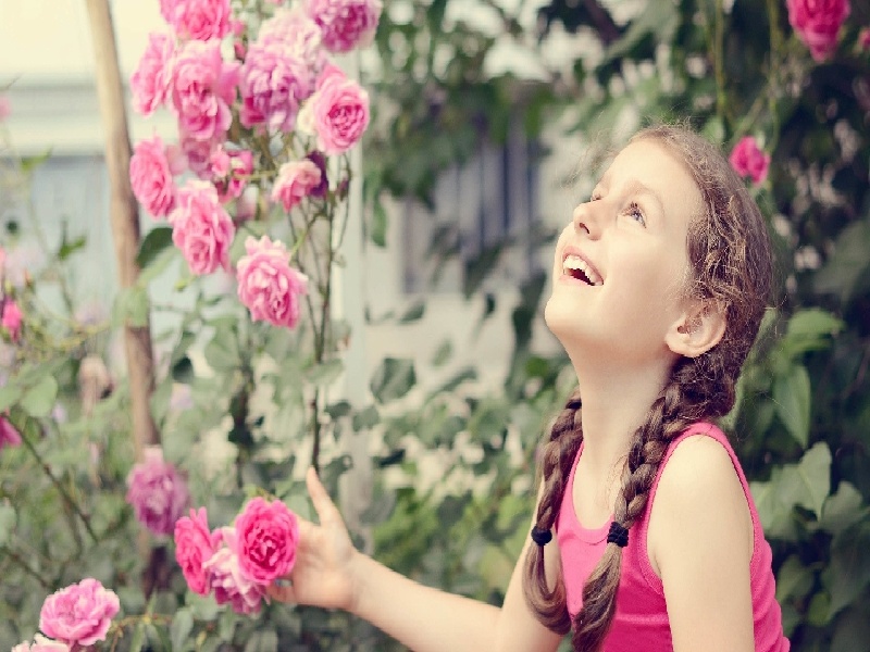 试管代孕医疗环境